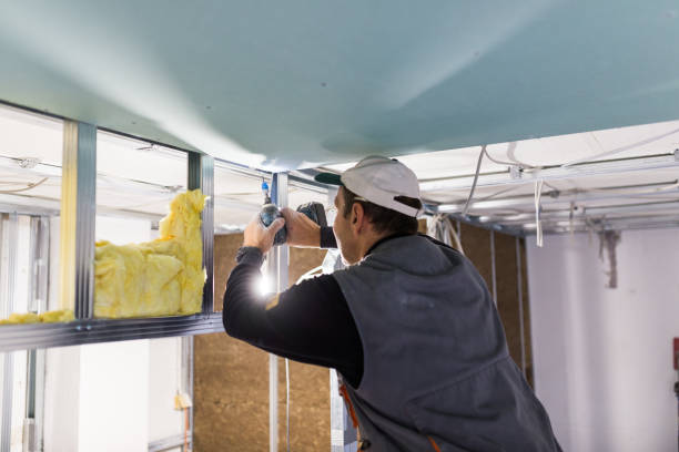 Best Cellulose Insulation in Macon, MO