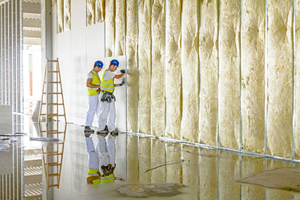 Best Geographic-Specific Insulation Services in Macon, MO